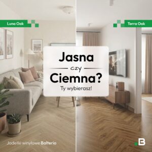 Bel-Pol promocja